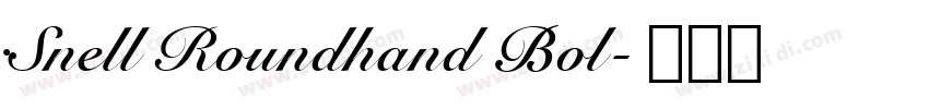 :Snell Roundhand Bol字体转换